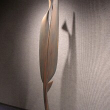 COMPROMISED V; Wood, stain