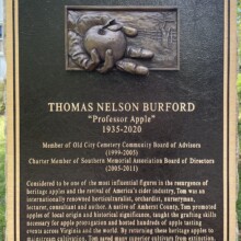 Bronze MEMORIAL PLAQUE for THOMAS NELSON BURFORD at Old City Cemetery in Lynchburg, VA. The memorial depicts a hand appearing to reach out of the frame. The hand is holding out an apple.